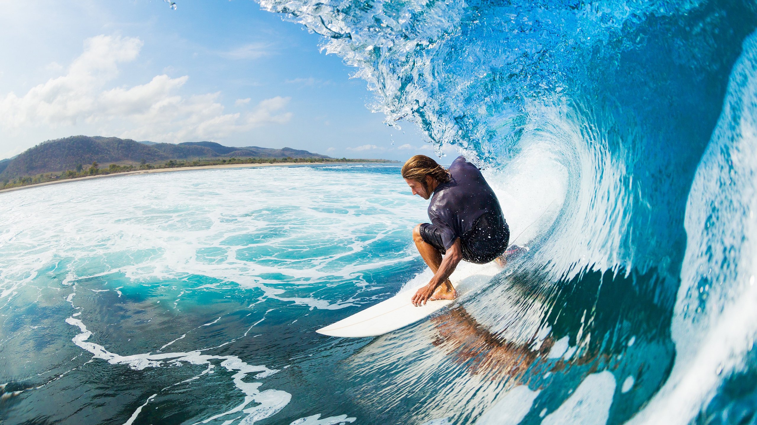 kaiyun.com-伯科夫50米仰泳爆发力惊艳全场